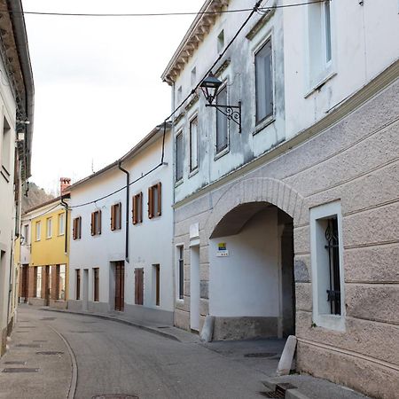 Oliver Street Apartment Vipava Luaran gambar